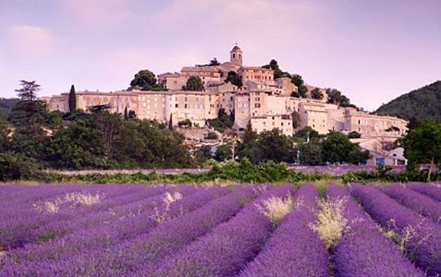 Provence mit allen Sinnen